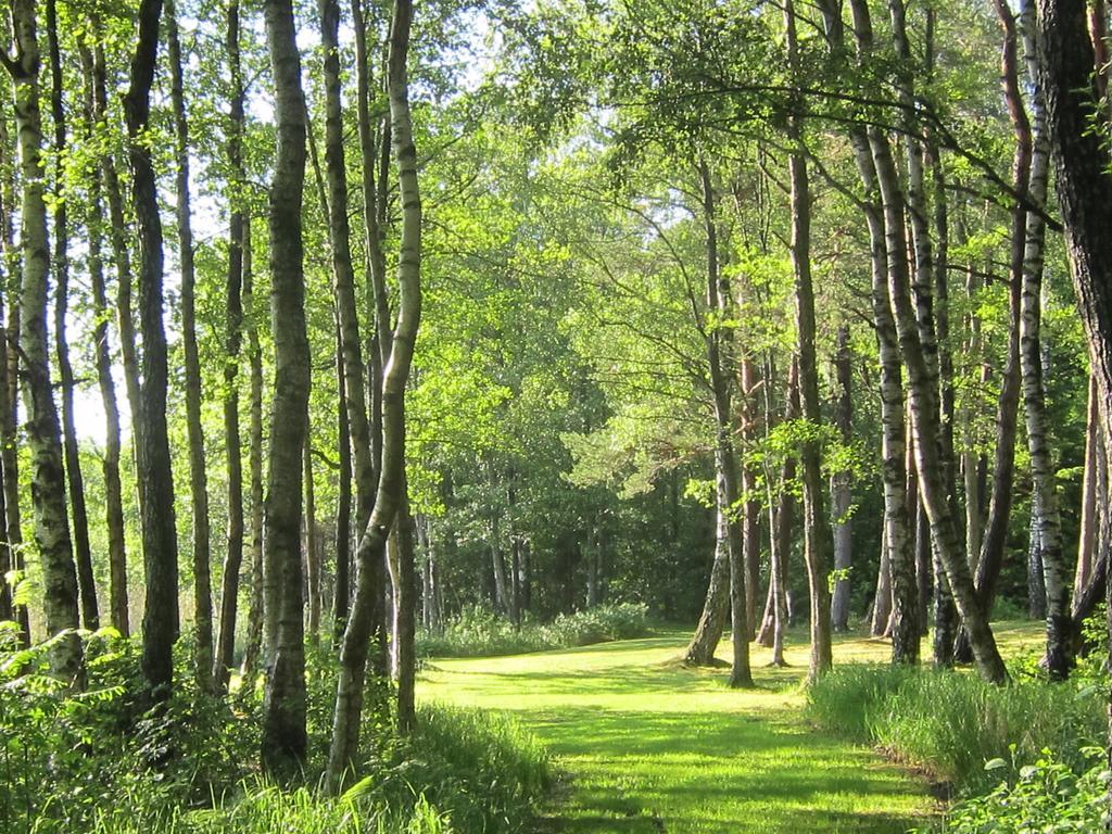 Sikhall Camping Sörbo Kültér fotó